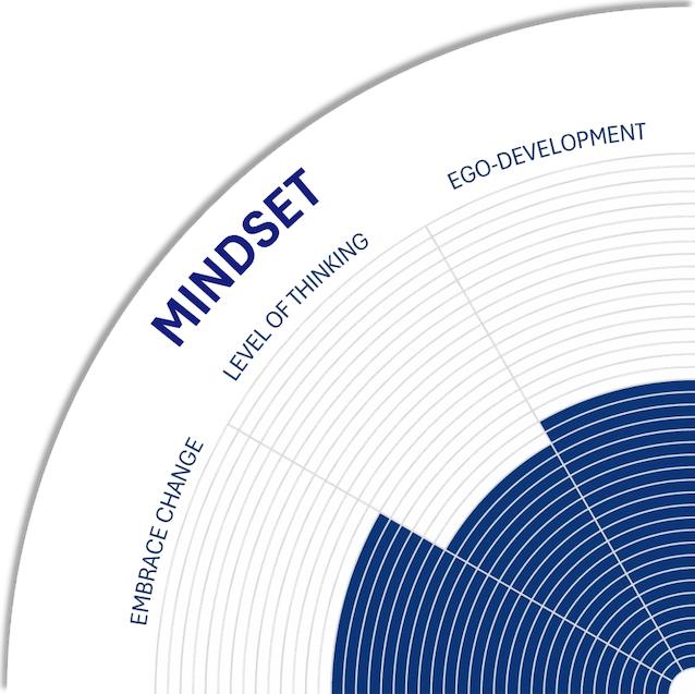 mindset dimension