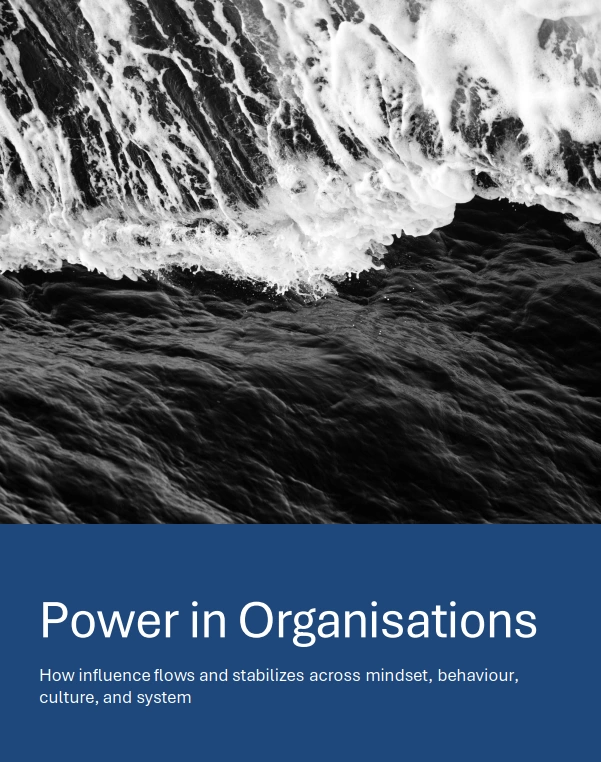 power in organisations ebook